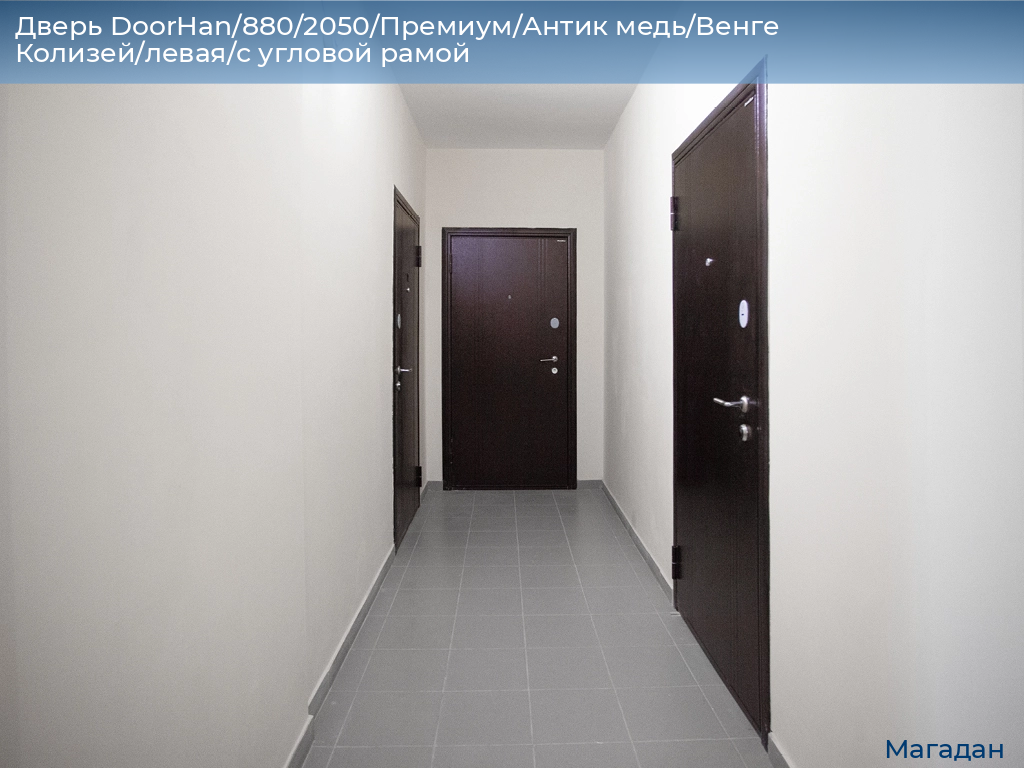 Дверь DoorHan/880/2050/Премиум/Антик медь/Венге Колизей/левая/с угловой рамой, magadan.doorhan.ru