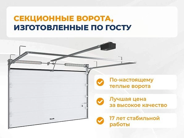 Секционные ворота 2800х2350 мм коричнево-красные DoorHan RSD02, magadan.doorhan.ru